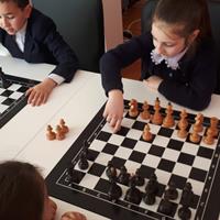 Творческое объединение "Шахматы"